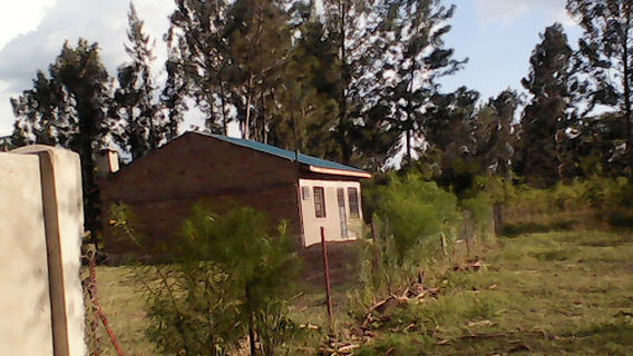 Busia