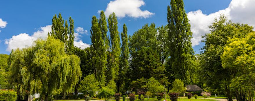 Camping et gîtes D'auberoche Dordogne Perigord
