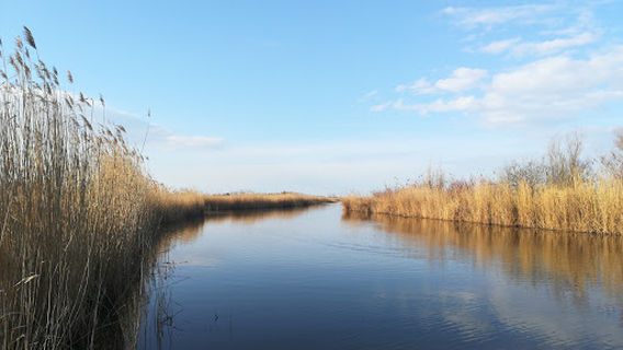 SC Neusiedl am See 1919