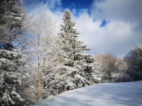 Ski lift Piane di Mocogno