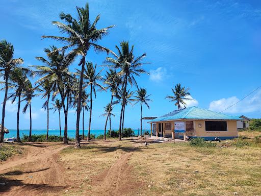 Mayungu Public Beach