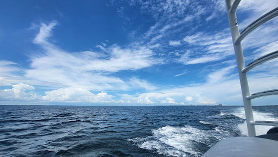 Paradise Pontoon & Captain Services