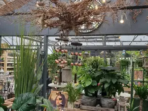 Clarenbridge Garden Centre