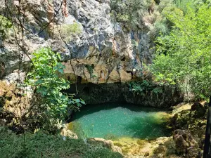 Source of Colethra