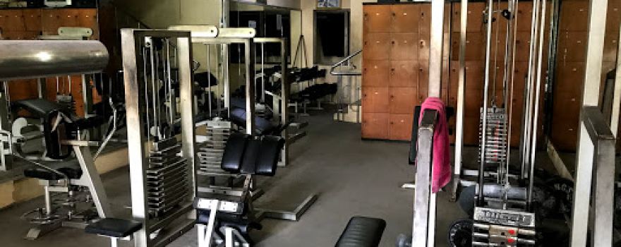Muscle Fitness Zone