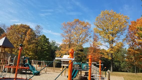 Hollow Park