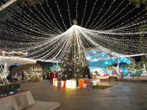 Parque Municipal Oluta,Ver