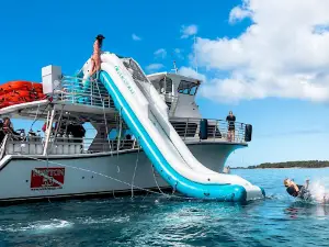 Maui Snorkeling