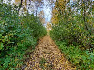 Apple Blossom Trail Iron River