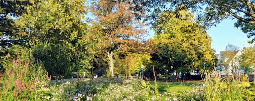 Park