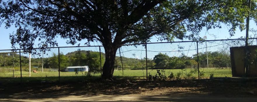 Children's park