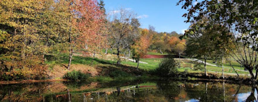 Conacul Cantacuzino-Pașcanu
