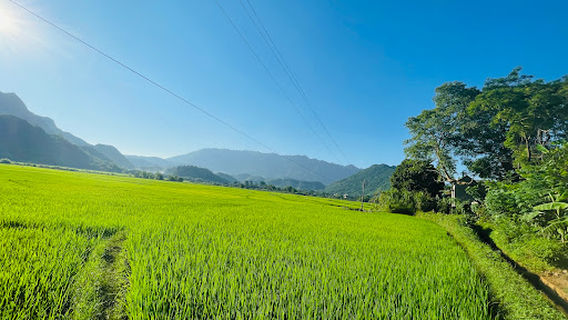 Mai Chau District
