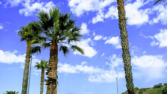 Complejo Deportivo San Benito
