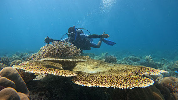 Scuba Smriti's Blue Bubble