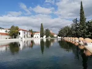 La Laguna