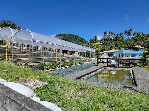 Project Chocolat