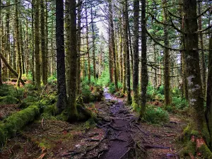 Appalachian Trail, Grayson Highlands