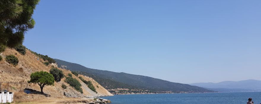 Çamlık Plaj,Mesire Alanı