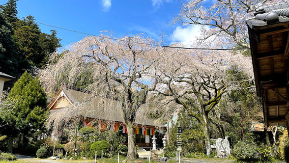 Hakuunzankomatsuji
