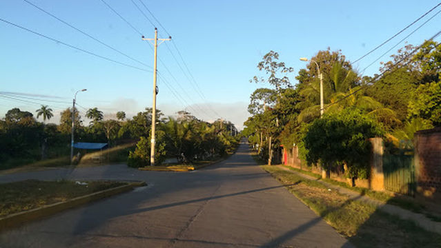 Tarantula Expedition