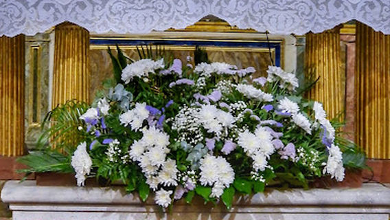 Centro de Jardineria VIDA