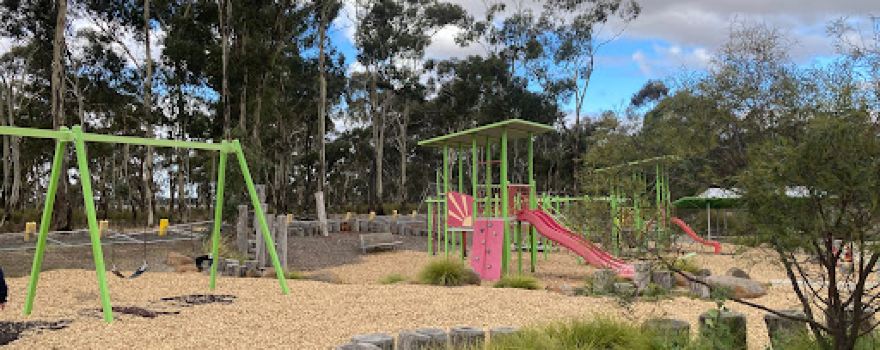 Viewpoint Playground