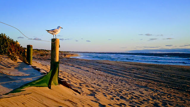 Secret Harbour Surf Lifesaving Club