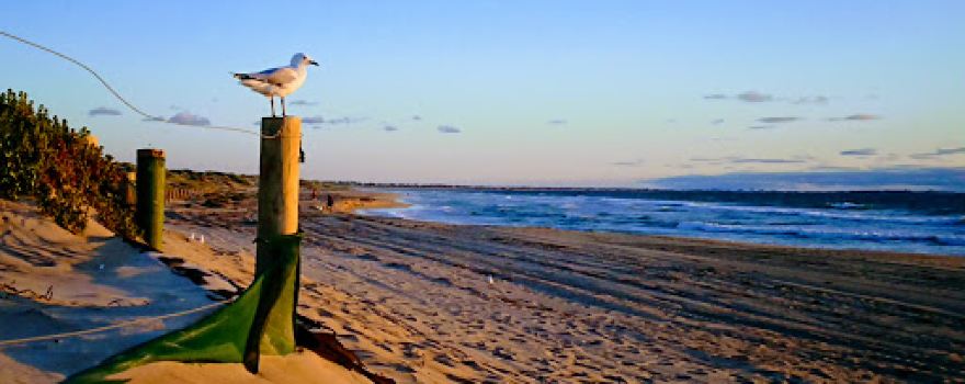 Secret Harbour Surf Lifesaving Club