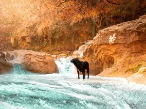 La Fontaine des Amours