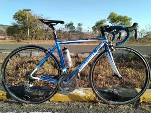 Patung Kuda Waingapu
