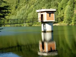 Goli Kamen