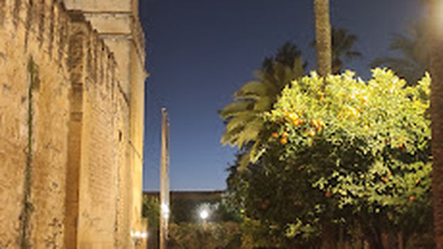 Free Tour Cultural Córdoba