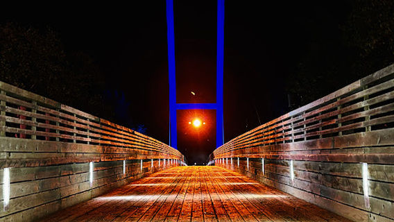 L’oiseau mécanique