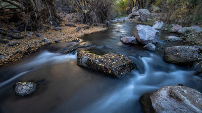 Aravaipa Canyon West Trailhead