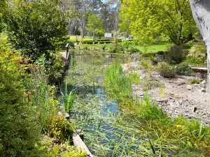 Tatanka Gardens