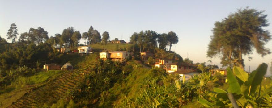 Vereda Alto de los Gomez