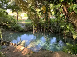 Waiusuu Springs