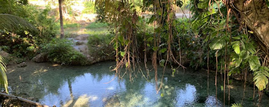 Waiusuu Springs