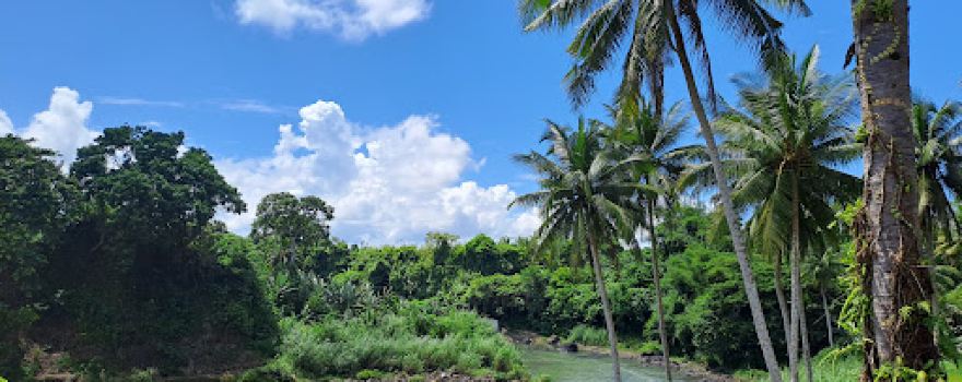 Puente de Malagonlong