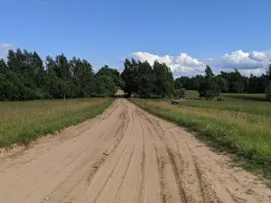 Вольеры с дикими животными