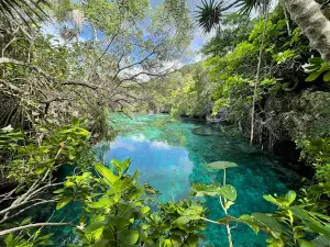 Aquarium Naturel