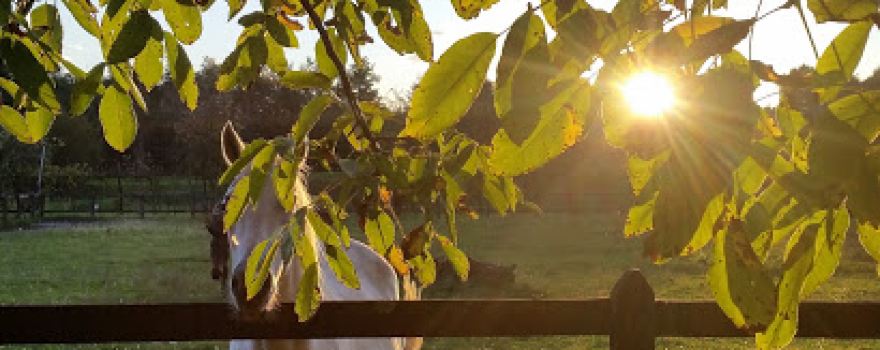 Circolo Ippico Braida dei Perini Azienda Agricola e Agrituristica
