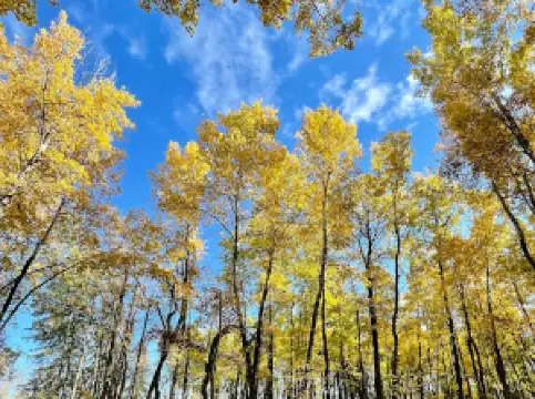 Imrie Park Campground