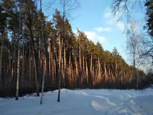 Voronezhskiy Gosudarstvennyy Prirodnyy Biosfernyy Zapovednik Imeni V.m. Peskova