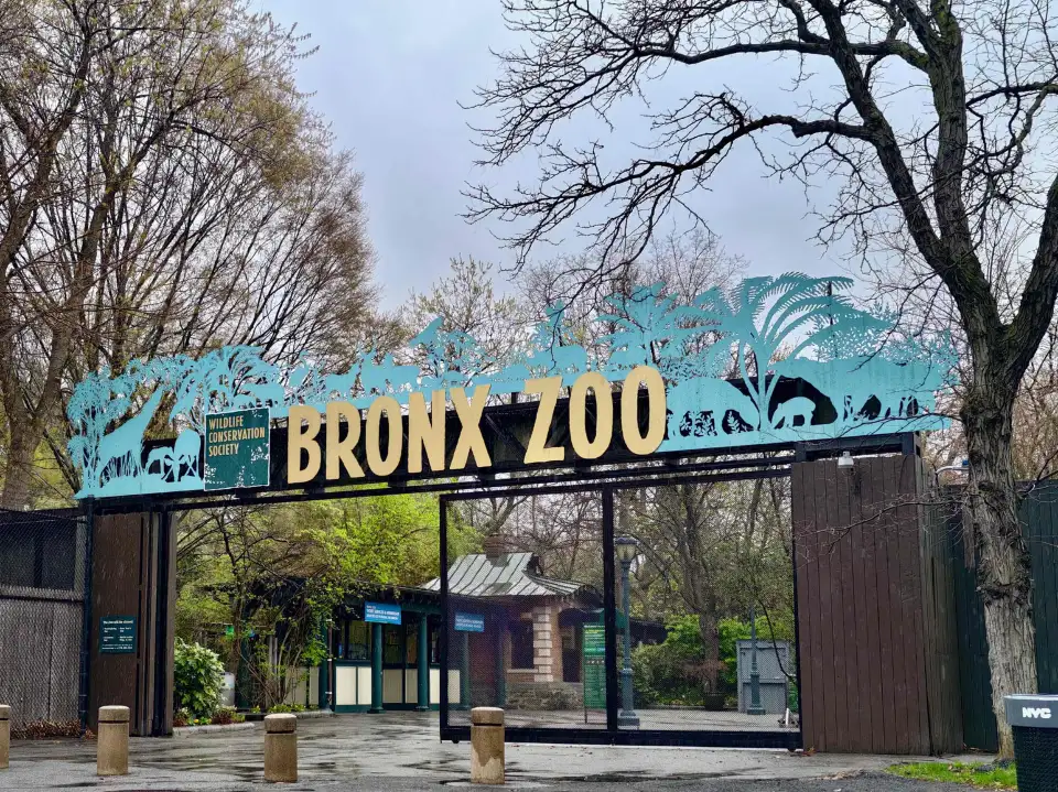 2_Bronx Zoo