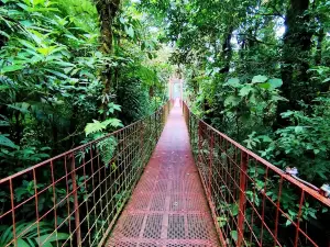Biologisches Reservat Monteverde