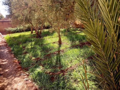 Kasbah Amridil