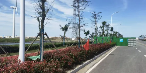 黃金海灘-濕地迷宮