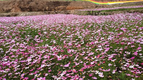 que er shan you le yuan